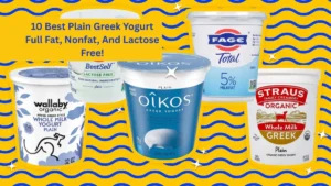 10 Best Plain Greek Yogurt Full Fat, Nonfat, And Lactose Free!