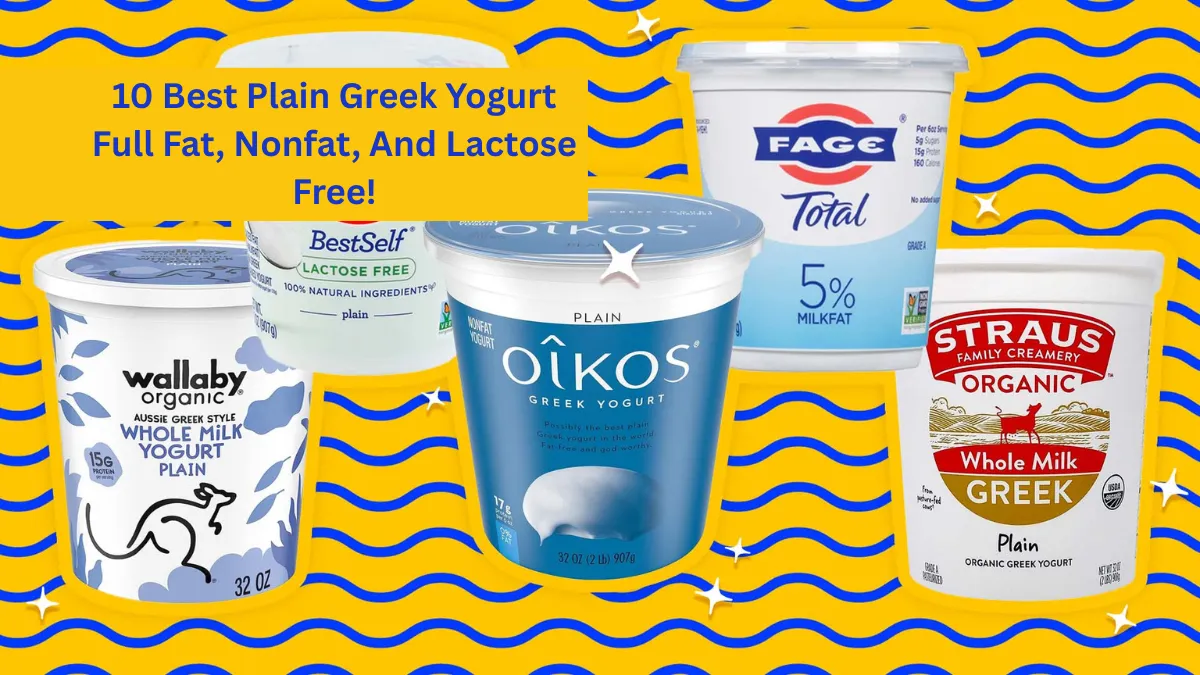 10 Best Plain Greek Yogurt Full Fat, Nonfat, And Lactose Free!