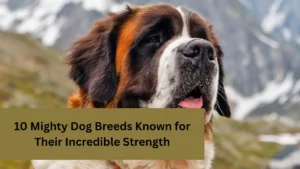 10 Mighty Dog Breeds Known for Their Incredible Strength